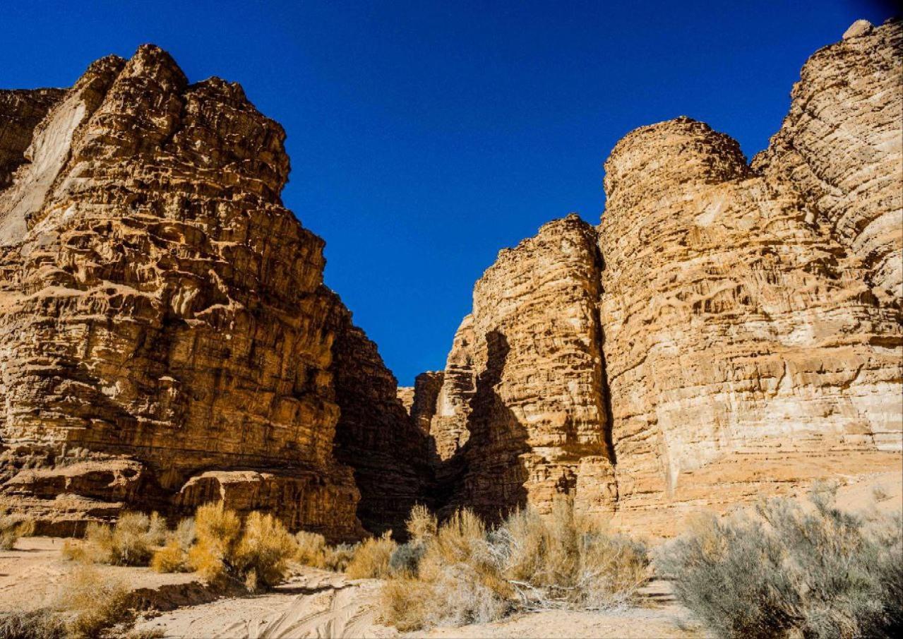 Wadi Rum Al-Omar Hotell Eksteriør bilde