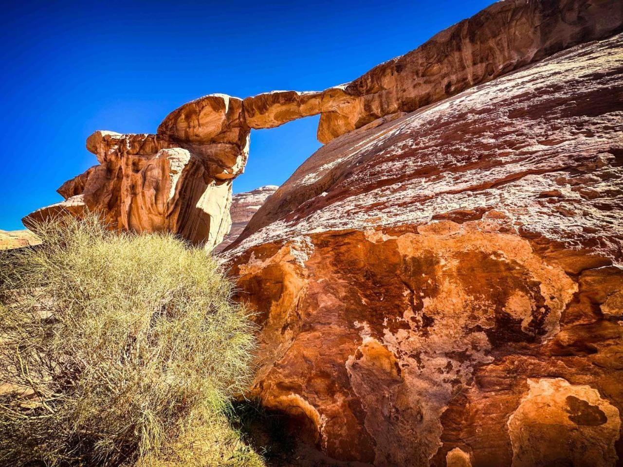 Wadi Rum Al-Omar Hotell Eksteriør bilde